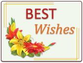 Greeting Card Designing Software